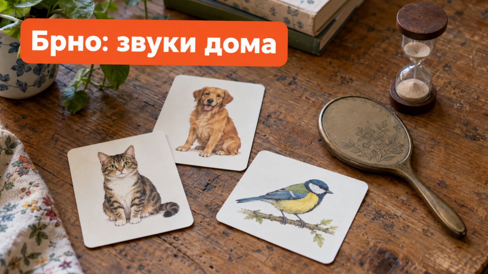 Картинки и зеркальце для занятий по звукам дома
