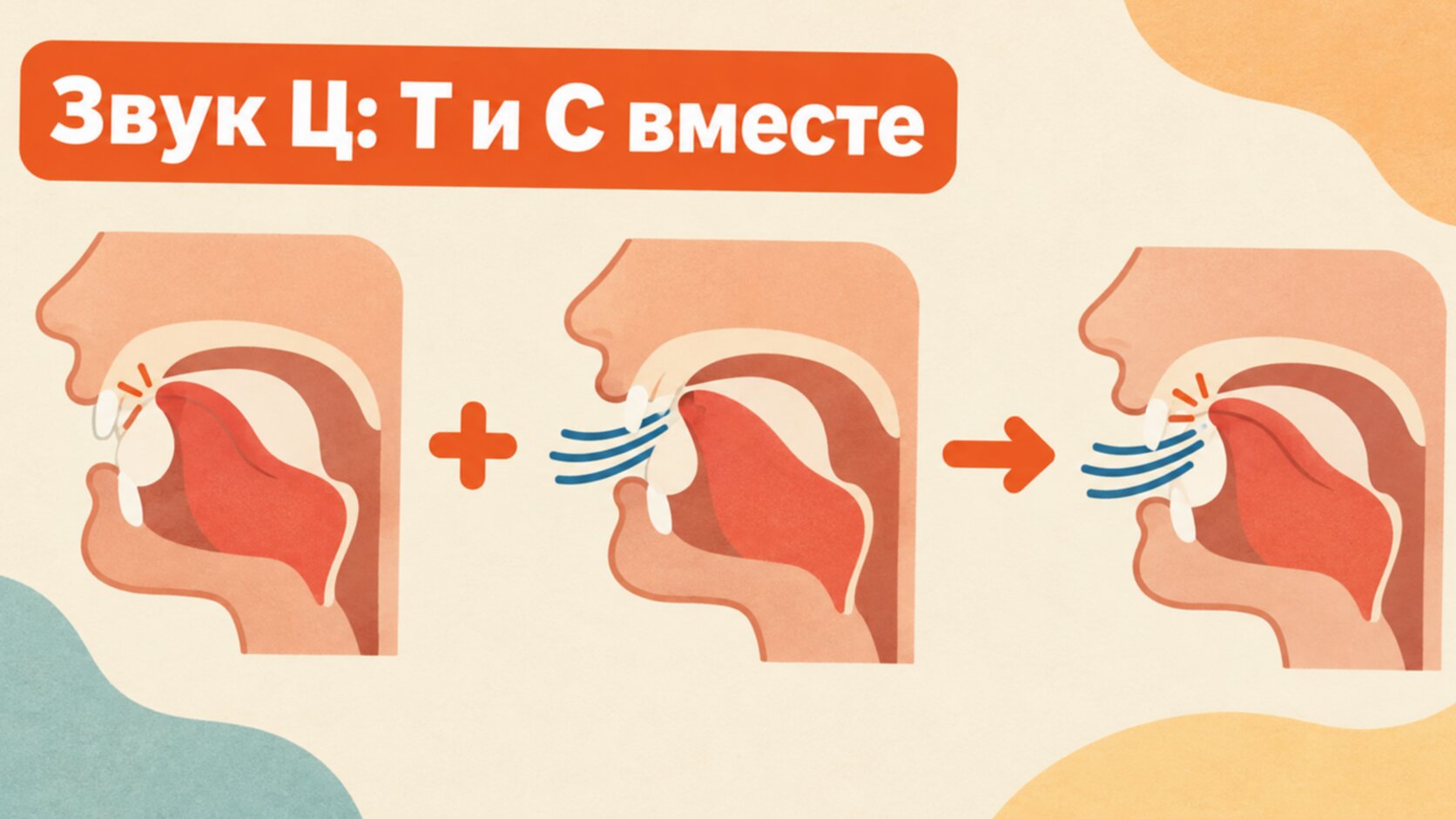 Схема: короткое Т плюс длинное С дают звук Ц
