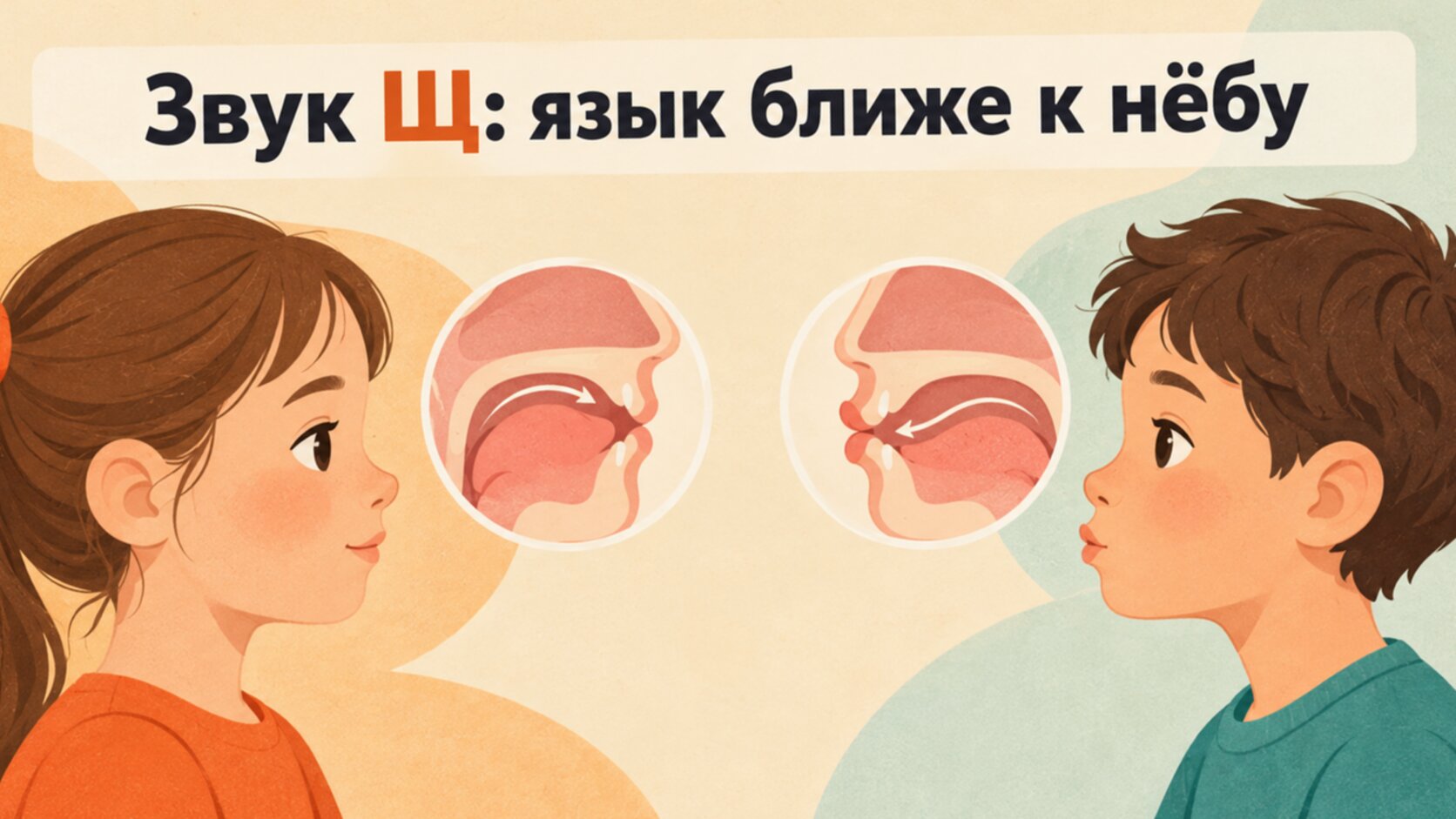 Схема положения языка при звуке Щ рядом с положением при Ш
