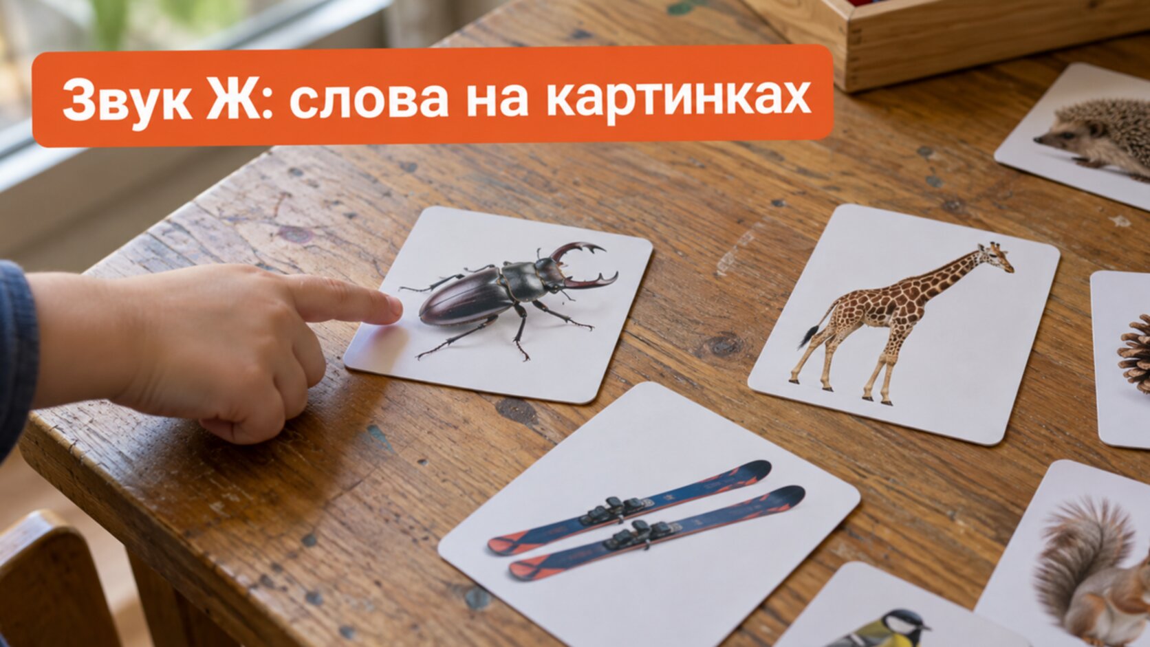 Картинки жук, жираф, лыжи: слова со звуком Ж